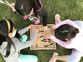 The Tech Challenge 2021 Ultimate Upcycle Highlights