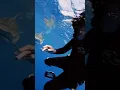 Download Lagu Being Followed In The Deep Ocean👀 #shark #sharks #thalassophobia #tigershark