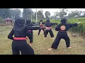 Download Lagu Pencak silat gajah putih Satria Kilat buana