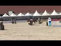Download Lagu Contremont (Crunch x Cash\u0026Carry) born 2012, Jakubowice CSIYH1* Poland 2017