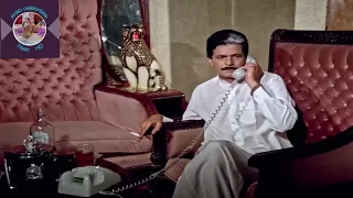 أقدام نجوى فؤاد 2 