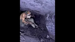 coal mining viral meme download