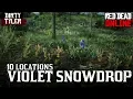 Violet Snowdrop RDR2 Locations - Red Dead redemption online Daily challenges