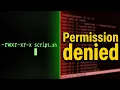 Permission Denied Even After chmod x Try This
