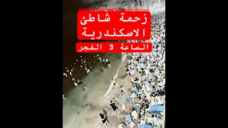 شاطئ إسكندرية الساعة ٣ الفجر اللي حصل هنا مش طبيعي 