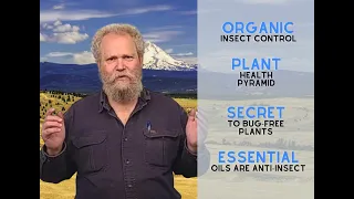 Youtube thumbnail for https://www.youtube.com/watch?v=O56RWvIYqkc