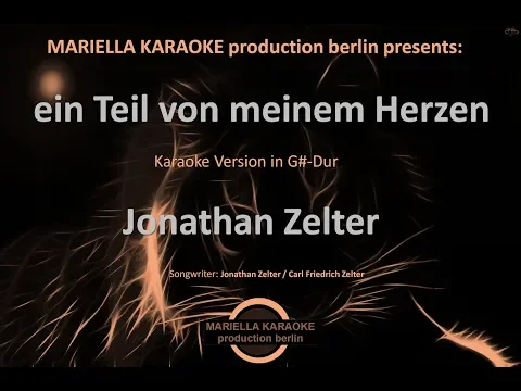 Download MP3 Jonathan Zelter - Ein Teil von meinem Herzen (Karaoke Version)