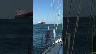 Dodging HUGE ships sailing to Great Keppel Island #shorts