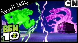 بن      مخالب القط   كرتون نتورك دندنها