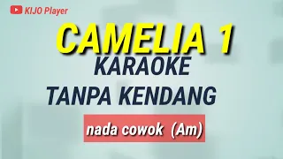 Download CAMELIA 1 - Karaoke Tanpa Kendang - Nada Cowok(Am) MP3