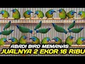 ABADI BIRD MEMANAS ! RATUSAN BURCIL DIJUAL HABIS HABISAN HARI INI DIKIOS ABADI BIRD PALMERAH