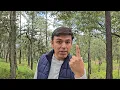 Looking for land in Mazamitla this is what this paradise costs