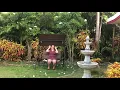 Isn't She Lovely By Anthem Lights -Sign Language Interpretation