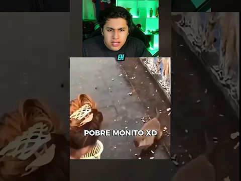 BRO EL MONO XD