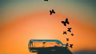 حالات واتس حبايبي و ناسي فاتوني حالات واتس شعبي 