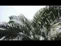 Download Lagu AkadNikah Lesti\u0026Billar || Takdir Cinta LESLAR