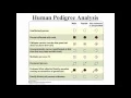 Pedigree Analysis
