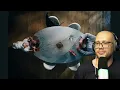 WIU Balanço de Rede react