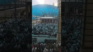 Лучшие моменты трансляции "Курбон Хайт в прямом эфире!" (20:29–25:29)