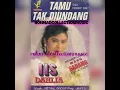 Download Lagu Iis Dahlia - Tamu Tak Diundang (cipt.Ferry AW)