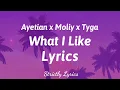 Rvssian x Ayetian x Moliy x Tyga - What I Like Lyrics | Strictly Lyrics 