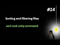 sort and uniq command Linux PART-14 CompTIA linux