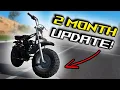 Stage 2 Predator 212 - 2 Month Update Top Speed Reliability