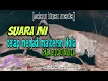 Walang Kecek untuk Masteran Burung || Masteran Burung Speed Rapat || Cendet Lovebird