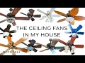 The Ceiling Fans in my House National Ceiling Fan Day 2024