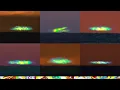 Lagu Green Flash: Not that rare...