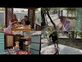 Download Lagu ALHAMDULILLAH BERKAT SURONAN MELIMPAH‼️goro2 telat mandi intan kudu emosi