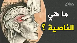                                                                                                  دندنها