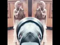 Download Lagu Nissa sabyan