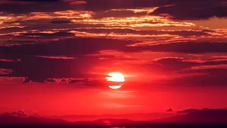 BTS DNA Hyundai Palisade Commercial Audio Only 