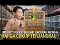 Lagu SIDAK ! KIOS BURUNG RAWATAN GACOR HUJAN BANJIR TETAP MURAH GASPOL DEKAT PASAR BURUNG PRAMUKA 