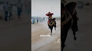 الفارسة آمنة العمري فرسان السبالة اولاد عسكر 