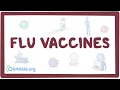 The flu vaccine explained