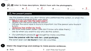 حل صفحة 52 نشاط انكليزي ثالث متوسط 2024 