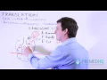 DNA Translation Elongation and Ribosome Sites