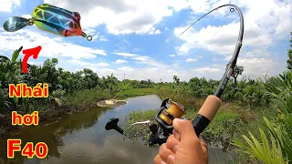 Nghe lời Quảng Cáo, mua Nhái Hơi mới về câu thử và Cái Kết