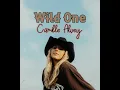 Download Lagu Wild One Born This Way Country Edit