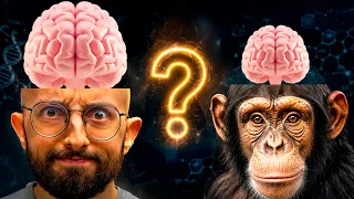 o que FAZ HUMANOS serem INTELIGENTES?