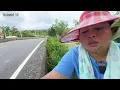 Download Lagu Sulastri 15 ‼️ Ambil pepaya buat lontong sayur, ke kandang ayam \u0026 panen sayuran. Tkw Taiwan.
