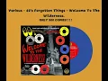 Lagu Sunnyboy66 Records presents Various - 60's Forgotten Things LP (THE REAL THING - I Don't Need You)
