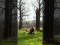 Drown in the Clouds of Dew (Live Cover)
