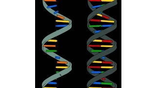 Ácidos Nucleicos: Descripción de la estructura química