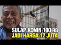 BISA SULAP KONIN OMBYOKAN 100 RB KE 12 JUTA