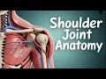 Shoulder joint Anatomy - Ligaments, Movements, Blood supply , Nerve supply and Clinical anatomy