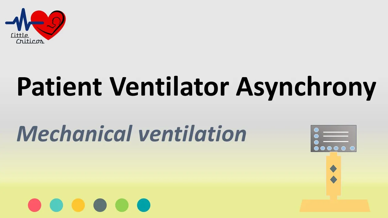 Patient Ventilator Asynchrony Classification