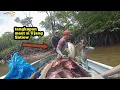 Download Lagu Jaring ikan sampai rusak . Gara-gara ikan terlalu banyak di satu spot.
